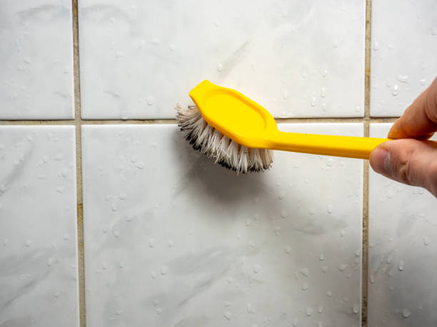 Best Mold Testing  in Midlothian, VA
