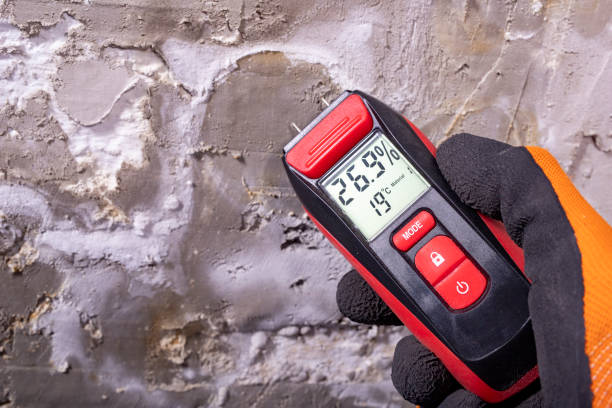 Best Certified Mold Removal  in Midlothian, VA