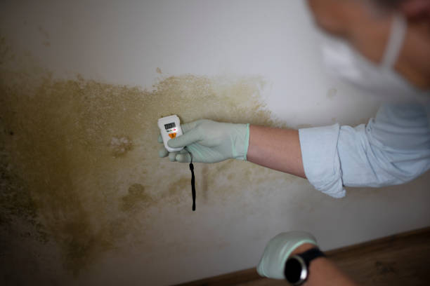 Best Emergency Mold Removal  in Midlothian, VA