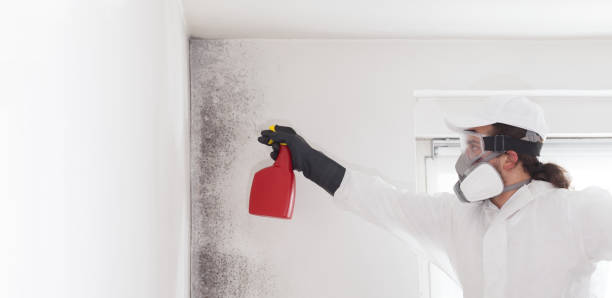 Best Office Mold Removal Services  in Midlothian, VA